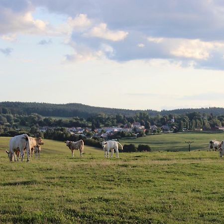 Ctyri Pokoje Tachov  Exteriör bild