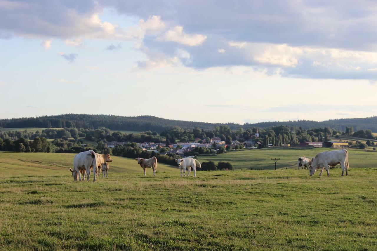 Ctyri Pokoje Tachov  Exteriör bild